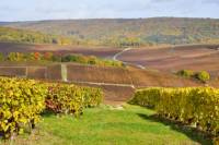 Champagne Tour from Paris: Moet and Chandon, Hautvillers and the House of Mumm