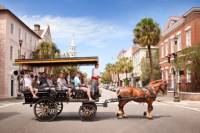 Charleston Carriage Ride