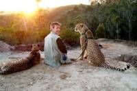 Cheetah Walk and Wild Cat Experience