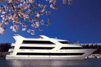 Cherry Blossom Lunch Buffet Cruise in Washington DC