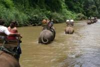 Chiang Dao Elephant Jungle Trek and Ping River Rafting Tour from Chiang Mai