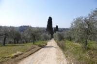 Chianti Hiking Tour with Wine Tasting