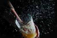 Cider and the Sea Factory of the Basques from San Sebastian