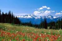Classic Hikes from Banff