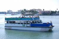 Clearwater Dolphin-Watching Tour