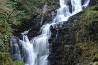 Cobh Shore Excursion: Ring of Kerry Highlights Private Tour