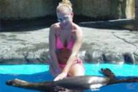 Combination Dolphin and Sea Lion Encounter
