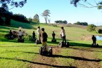 Coolangatta Estate Winery Segway Tour