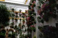 Cordoba Small-Group Day Tour from Seville