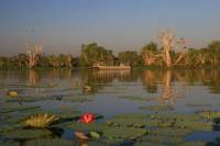 Corroboree Billabong Wetland Cruise