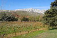 Cotes de Provence Wine Tour from Aix-en-Provence