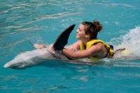 Cozumel Dolphin Swim and Ride Program