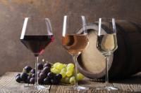 Crete Evening Wine Tasting in Chania