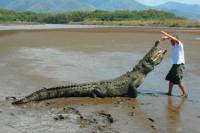 Crocodile Man Tour from Jaco