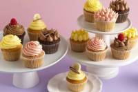 Cupcake Tour of SanFrancisco