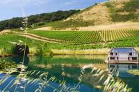 Customizable Wine Country Tour from San Francisco