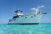 Grand Cayman Cruise: Starfish Point, Stingray City, Coral Garden