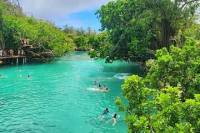 Discover Cascades and Swim with Turtles in Vanuatu