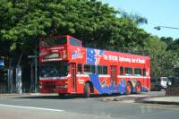 Darwin Shore Excursion: Darwin Hop-on Hop-off Bus Tour