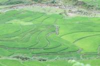 Day Trip of Sapa Valley Including Trek in Hoang Lien National Park
