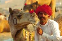 Day Trip to Pushkar