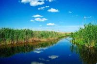 Day Trip to the Comana Region from Bucharest by Boat
