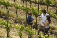 Delta Wine Adventure