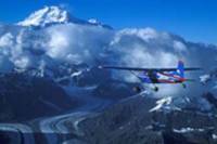 Denali National Park Flightseeing Tour from Talkeetna