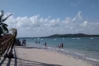 Departure Transfer from Praia dos Carneiros to Recife Airport