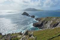 Dingle and Slea Head Day Tour from Killarney