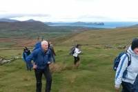 Dingle Day Tour from Killarney