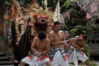 Discover Bali: Kintamani Barong Tour