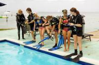 Discover Scuba Diving in Cozumel