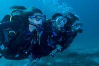 Diving Tour at Bona and Otoque Islands