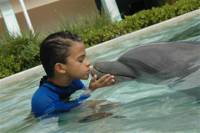 Dolphin Experience at the Miami Seaquarium