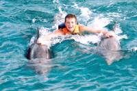 Dolphin Royal Swim Including Aquaventuras Park Entrance