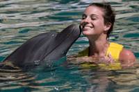 Dolphin Swim in Cancun