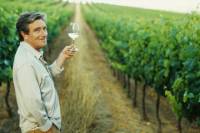 Douro Valley Wine Tour from Porto Including Lunch