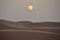 Dubai Desert Safari: Tanoura Show, Dune Bashing and BBQ Dinner