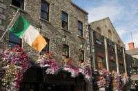 Dublin Historical Walking Tour including Trinity College