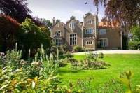 Dunedin Shore Excursion: City Sightseeing with Olveston House Tour