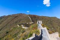 Beijing Mini Group Day Tour: Mutianyu Great Wall, Forbidden City