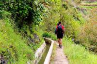 Easy Madeira Levada Walk - Marocos