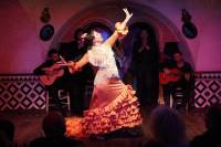 Flamenco Show at Tablao Flamenco Cordobes Barcelona in Las Ramblas