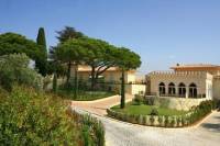 Electric Bike Tour and Wine Tasting from Nice