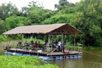 Elephant Ride and Jungle Trek Half-Day Tour from Pattaya