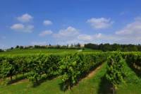 En Route of Venetian Wine 7 Day Tour