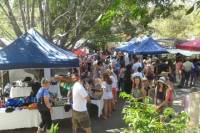 Eumundi Markets and Sunshine Coast Day Trip from Brisbane