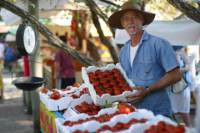 Eumundi Markets Round-Trip Shuttle