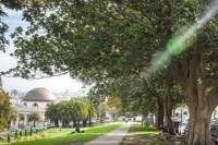Explore The Mission District with Optional Lunch